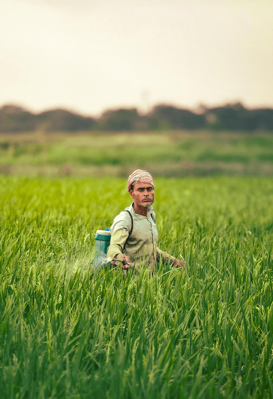 pexels-rohit-sharma-1230131-31551945 1-99462369-1a85-4099-bff2-e74b5953791a