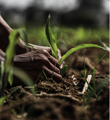 pexels-vr-visualrepo-2147871274-29803637 1 (2)